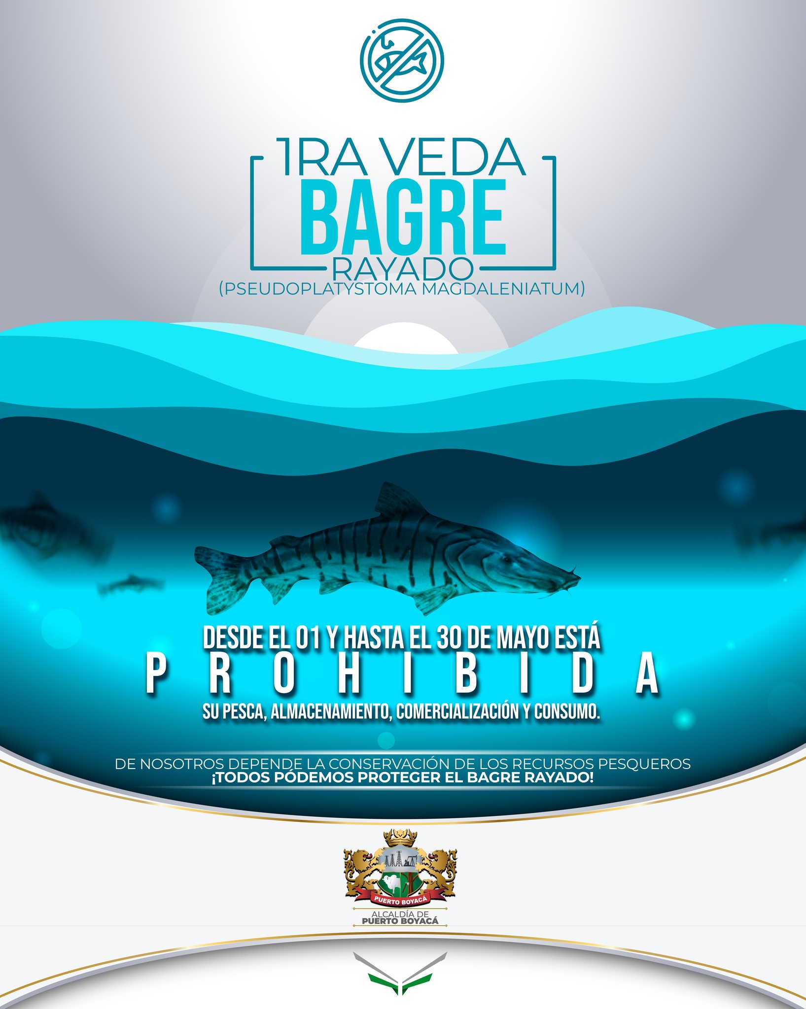 1RA VEDA BAGRE RAYADO 2025