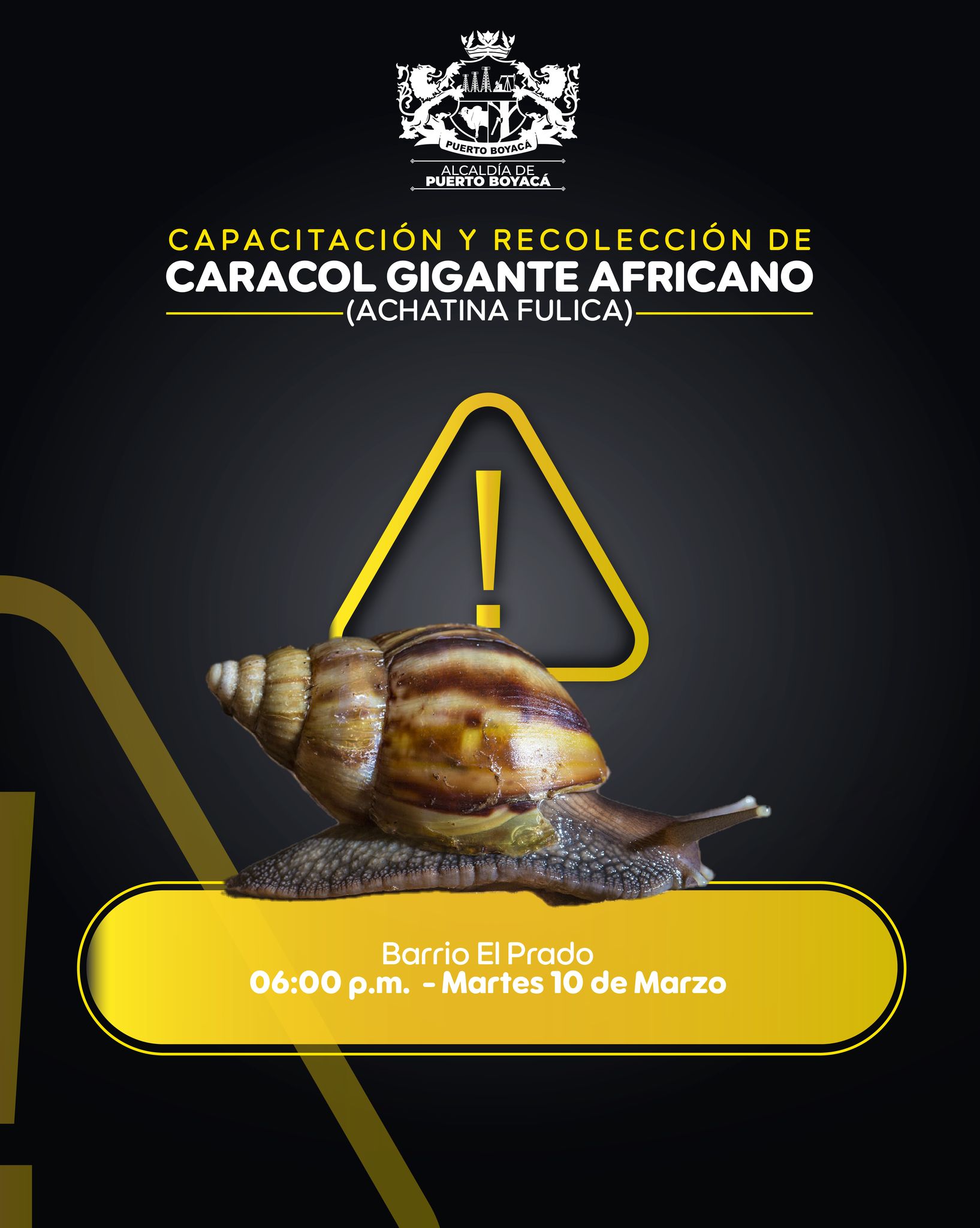 CAPACITACIÓN Y RECOLECCIÓN DE CARACOL GIGANTE AFRICANO