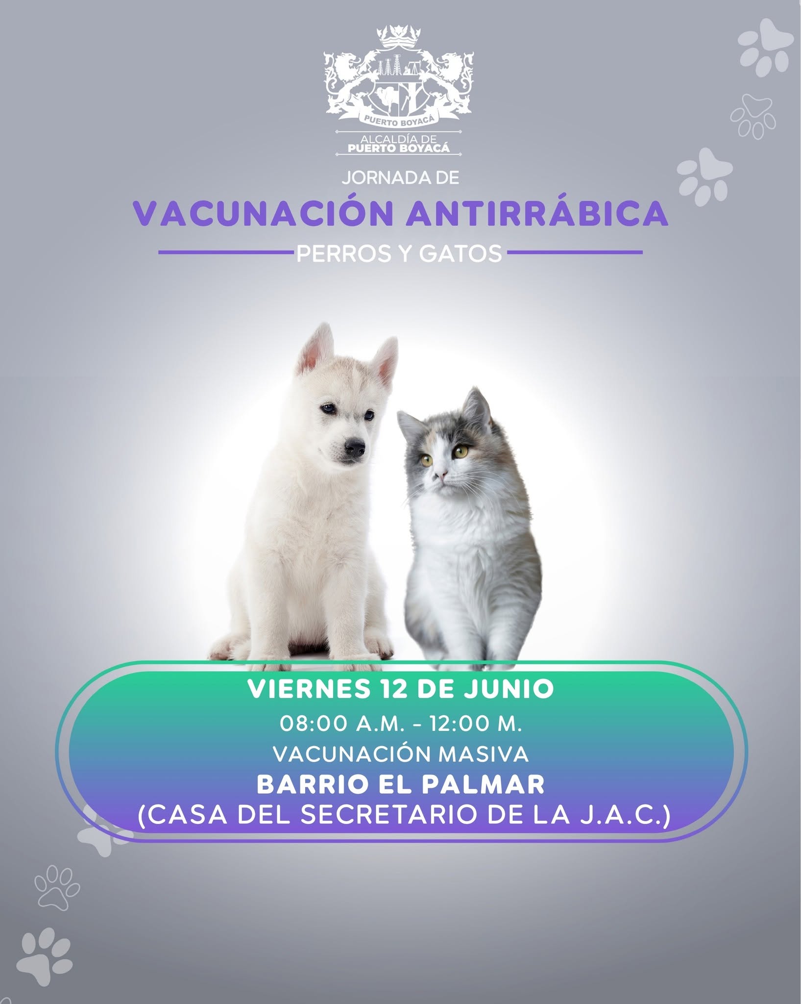 VACUNACIÓN CON ANTIRRÁBICA BARRIO EL PARMAR